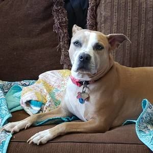 Meet your Posher, Tammy